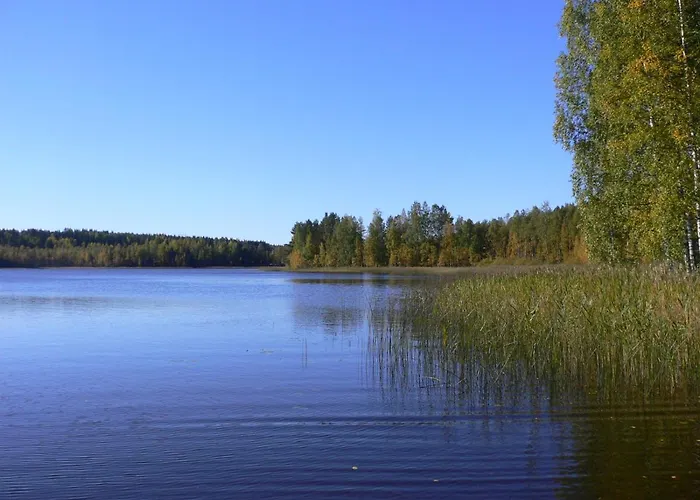 Vanha-paelsilae Lakeside Farm * Kuhmoinen